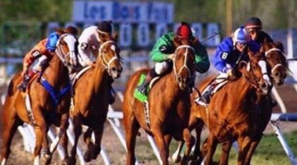 un lider de stat a cazut de pe cal in timpul unei curse