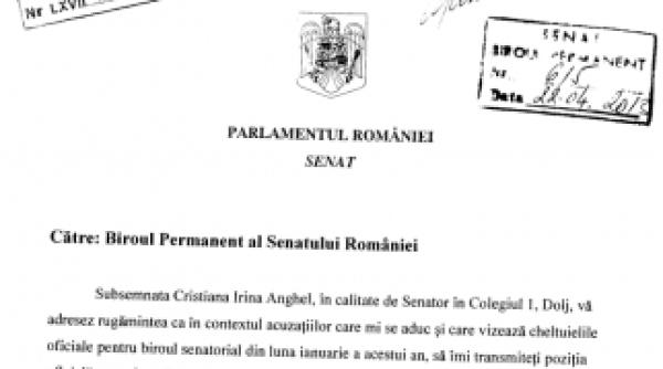 cristiana anghel castiga bine ca senatoar vezi salariul