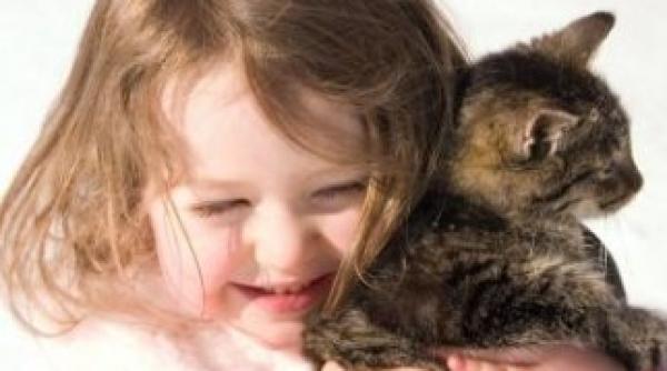 otravitori de pisici reclamati la politie ar fi putut omori copiii