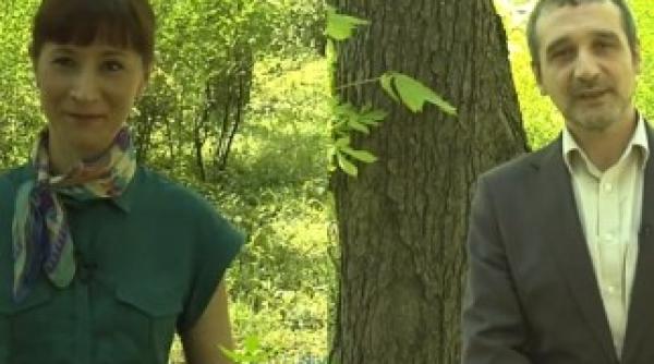 sebastian lazaroiu si elenina nicut demers video pentru fundatia mp