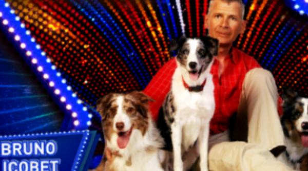 romanii au talent vezi ce audienta a facut finala de vineri seara