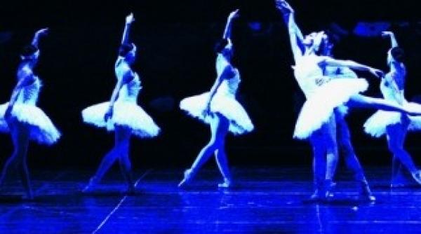 lacul lebedelor 3d regizat de james cameron