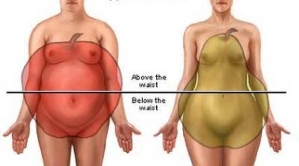 care este durata vietii tale in functie de forma corpului