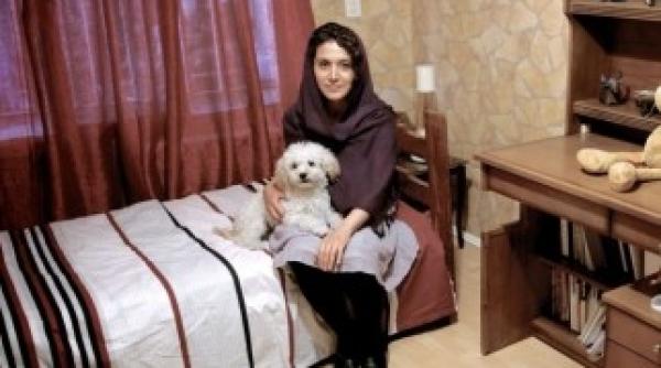 iranul interzice plimbarea cainilor in public animalele riscand sa fie arestate