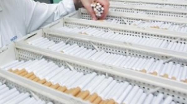 marlboro lupta pentru drepturile fumatorilor