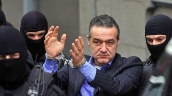 becali vrea alti avocati