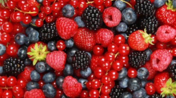 fructe cu virusul hepatic a importate din romania retrase de pe piata italiana