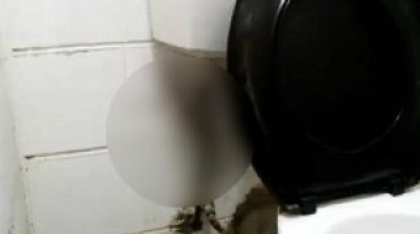 a vrut sa se duca la toaleta cand a ajuns acolo a decis sa se abtina