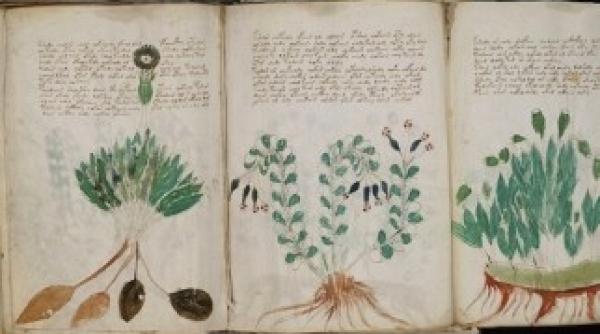 cel mai misterios manuscris medieval mai aproape de decriptare