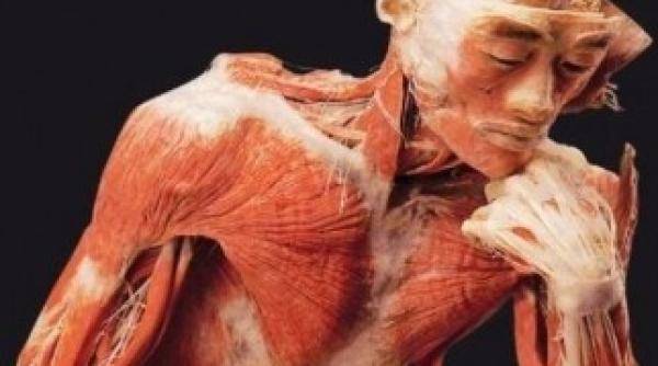 expozitia the human body deschisa pana in luna august