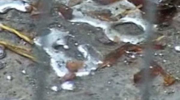 peste 400 ml de mercur descoperiti langa o ghena de gunoi