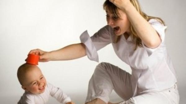 propunere legislativa cine poate fi bona sau babysitter