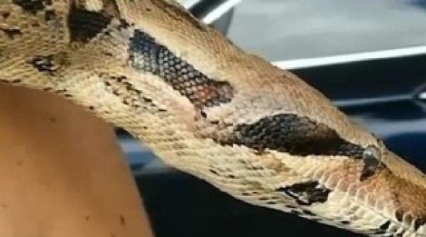 scoateti l urgent din caroseria masinii solicitarea disperata a unei femei