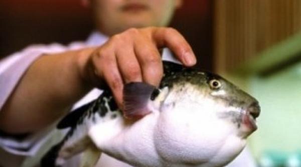 top cele mai periculoase alimente din lume