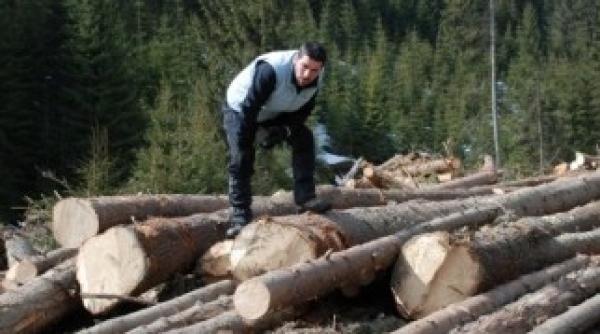 radu tudor da vesti bune ce va creste in romania