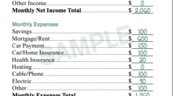 mcdonalds si visa au intocmit un plan de buget lunar pentru cei cu venituri mici doua job uri pentru supravietuire crezi ca e realist