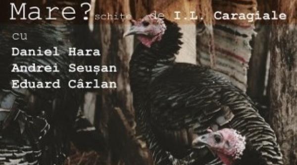 caldura mare la teatrul unteatru vezi programul lunii august