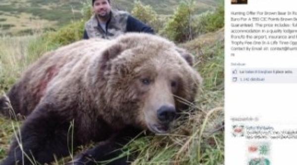 britanicul care a umilit romania sunteti o tara ieftina