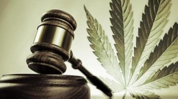 marijuana legalizata de camera deputatilor