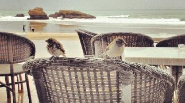 vara ta va fi mai proasta cu instagram