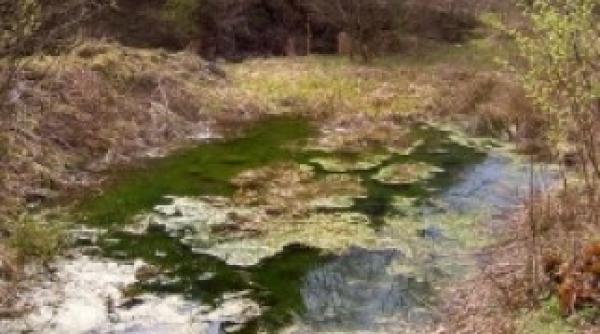 descopera zece fenomene bizare din romania