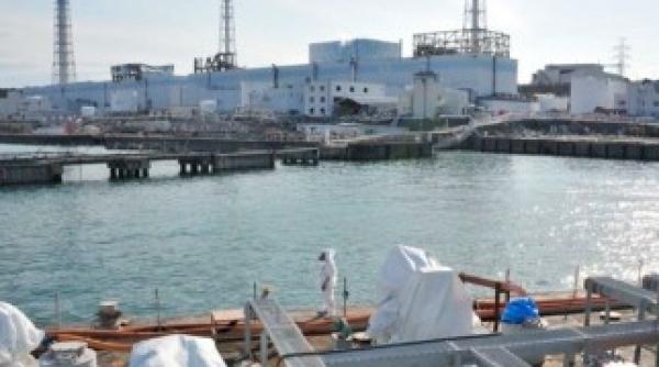 fukushima scurgerea a 300 de tone de apa radioactiva incident grav