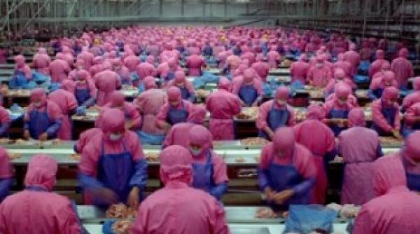 mai mananci dupa ce vezi asa ceva