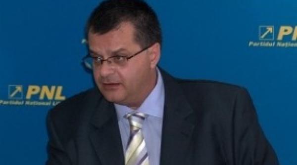 nini sapunaru propus la sefia ministerului transporturilor