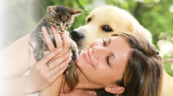 in atentia detinatorilor de animale mai multe amenzi