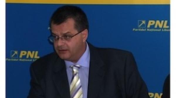 nini sapunaru acuza un linsaj mediatic la adresa sa