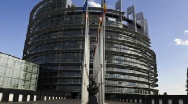 cine merge in locul ramonei manescu la parlamentul european