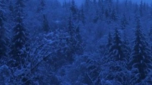 prima ninsoare din aceasta toamna vezi unde