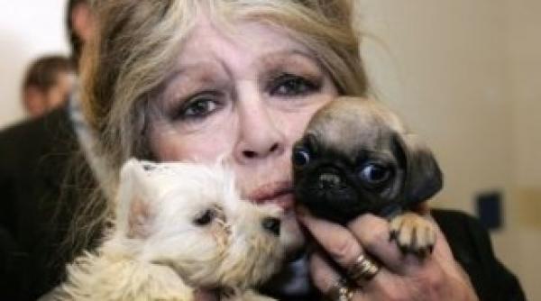 brigitte bardot ii scrie lui basescu nu ucideti pentru voturi