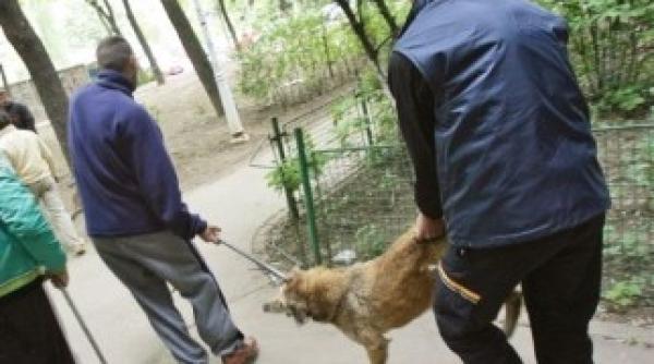 deputat sa omoram cainii apoi pensionarii asistatii sociali si somerii