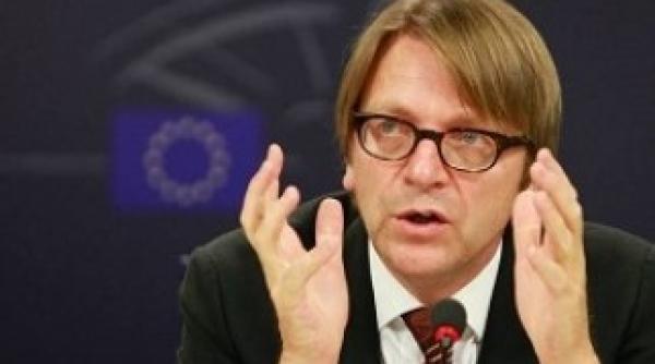 guy verhofstadt raspuns la sesizarea dece news impotriva oanei haineala