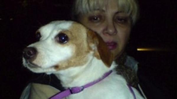 tanta scuipata pentru un maidanez