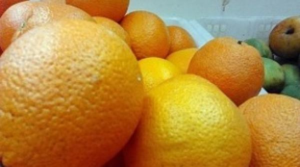 pericol in ue se cere oprirea importului de citrice din africa de sud