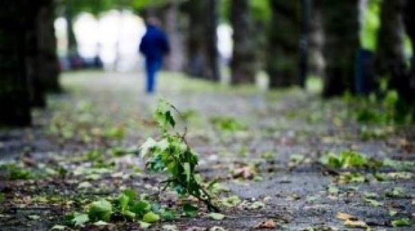 anm cum va fi vremea pana la sfarsitul lunii septembrie