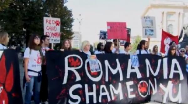 protest anti eutanasie grecii si romanii opriti masacrul video