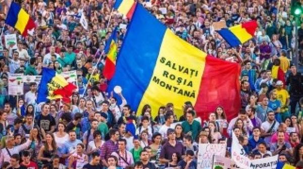 implicarea pdl in piata universitatii macovei gata de protest silviu vaduva biciclist preda impotriva