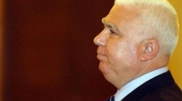 judecator ccr eutanasierea in masa a cainilor traumatizanta pentru populatie