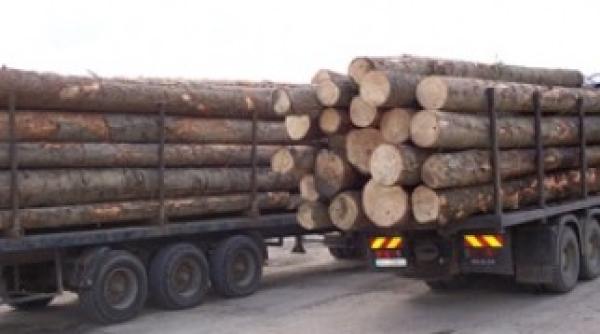 cu cat a crescut volumul de lemn exploatat in 2012 fata de 2011