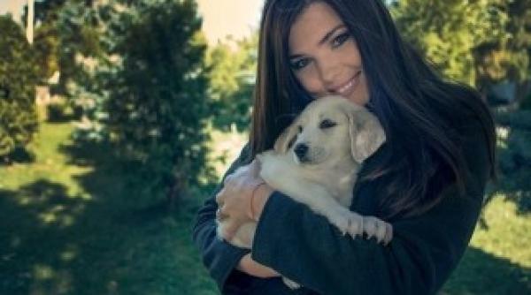 paula seling as vrea sa recunoastem ca