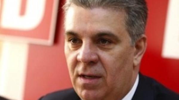 zgonea legea maidanezilor este avantajoasa pentru cei care iubesc animalele