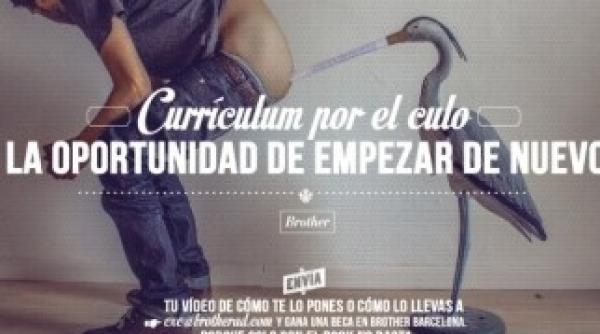 baga ti cv ul in fund la propriu