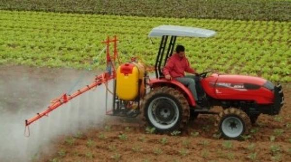 china va deveni granarul europei lovitura pe piata mondiala a cerealelor