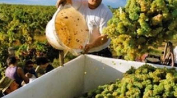 ce ne rezerva vremea pentru urmatoarele doua saptamani vezi prognoza