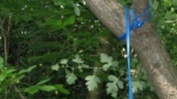 un baiat din republicat moldova gasit spanzurat in suceava