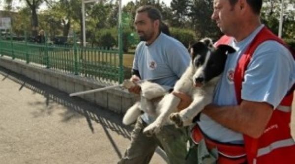 echipa vier pfoten este in doliu