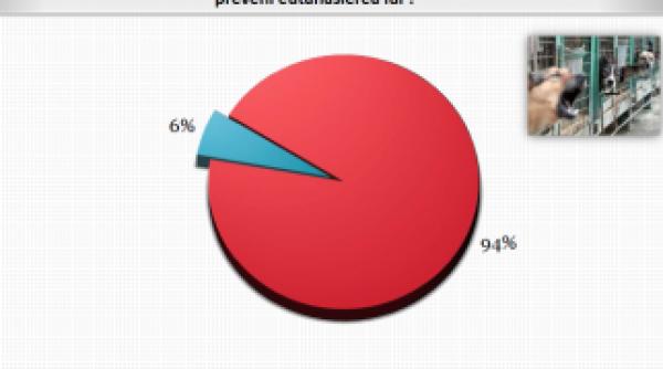 numarul bucurestenilor dispusi sa adopte egal cu al maidanezilor